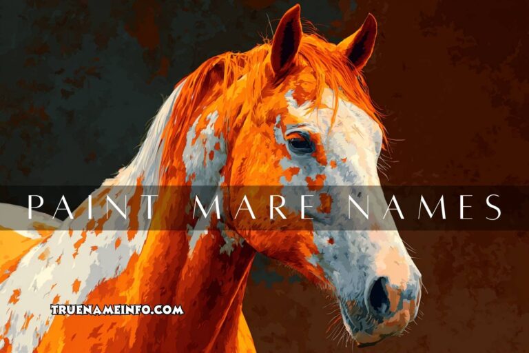 paint mare names