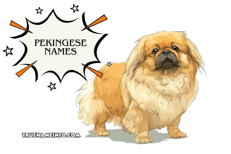 pekingese names