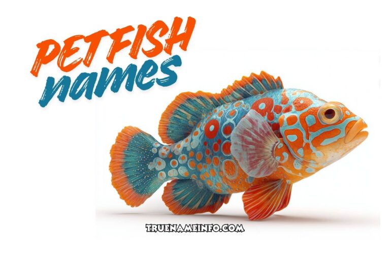 pet fish names