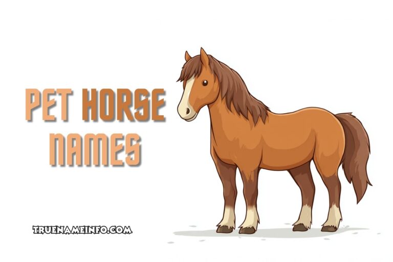 pet horse names