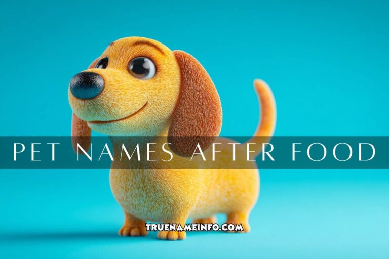 pet names after food