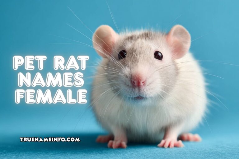 pet rat names female