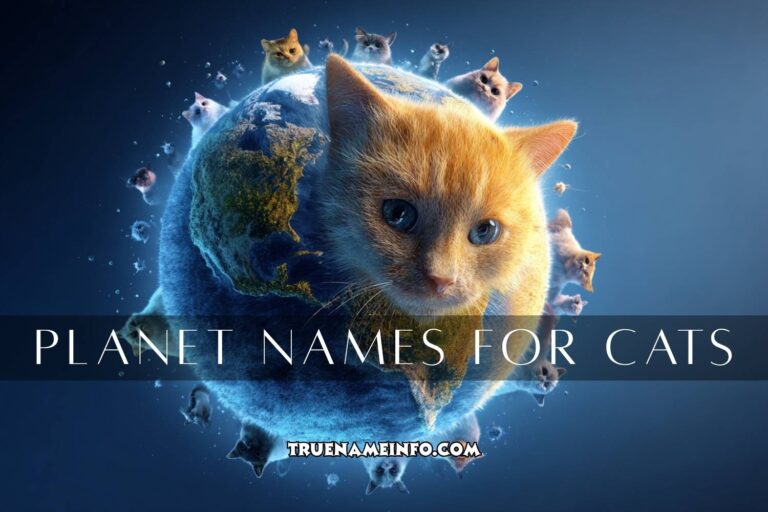 planet names for cats