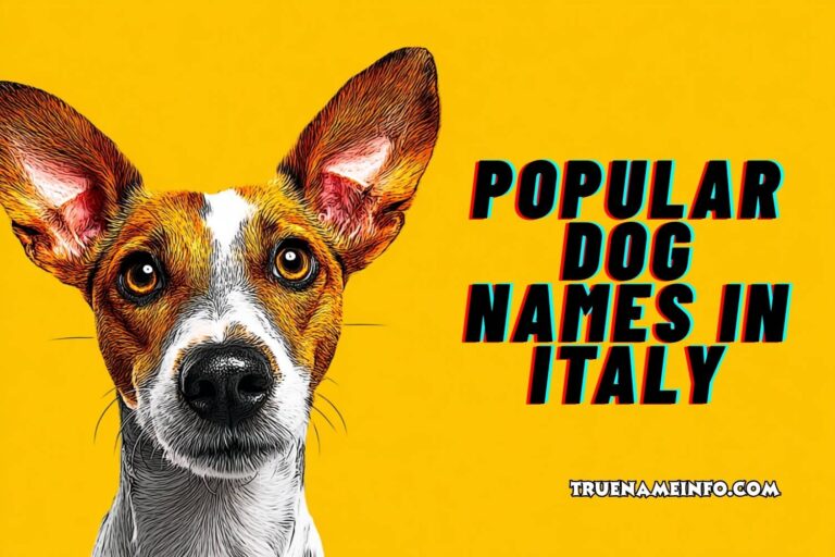 popular dog names in italy