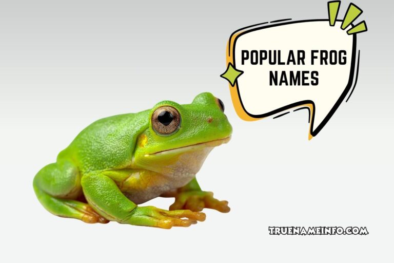 popular frog names