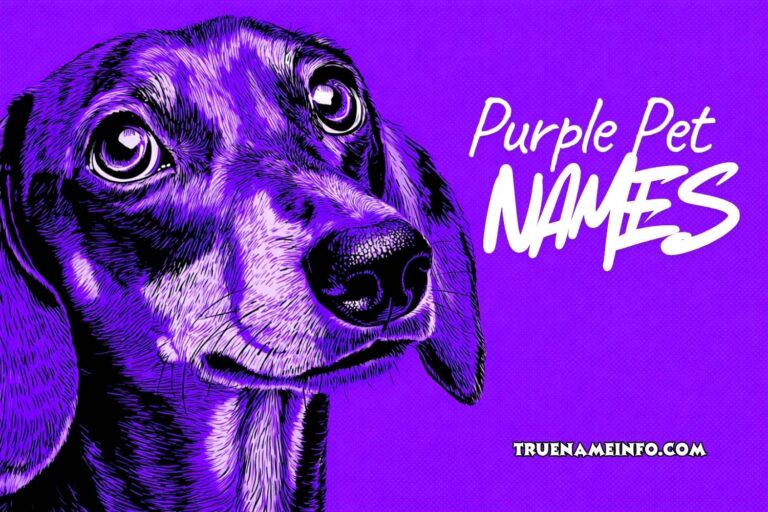 purple pet names