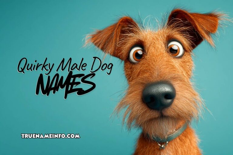 quirky male dog names