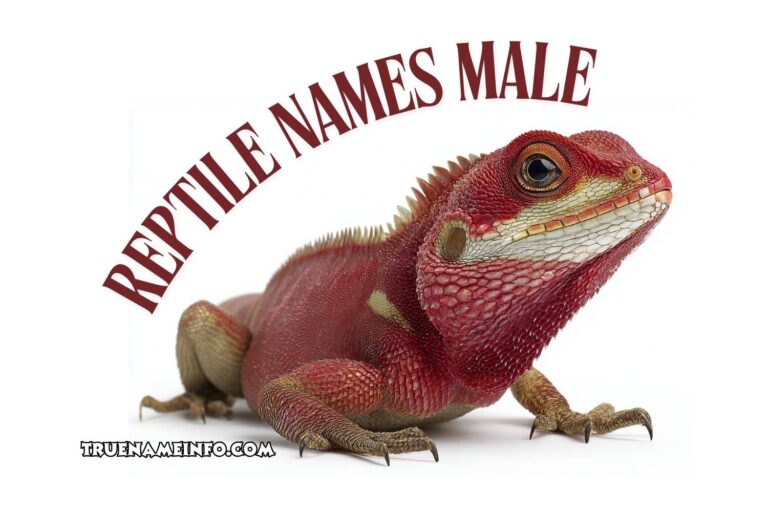 reptile names male