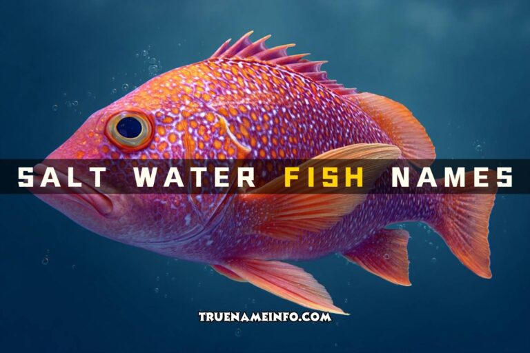 salt water fish names