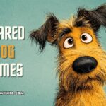 scared dog names