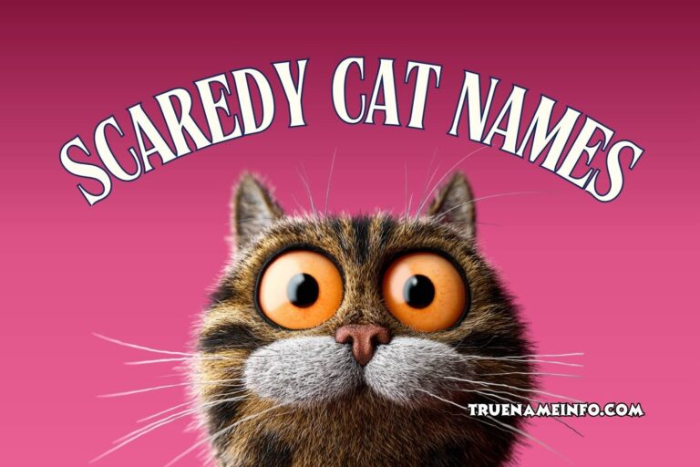 scaredy cat names