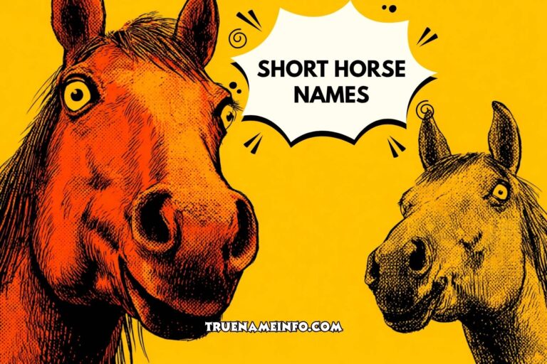 short horse names