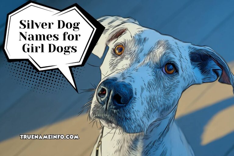 silver dog names for girl dogs