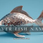 silver fish names