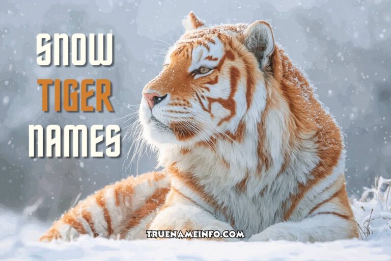 snow tiger names