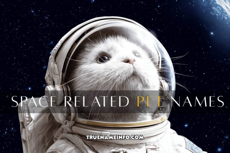 space related pet names