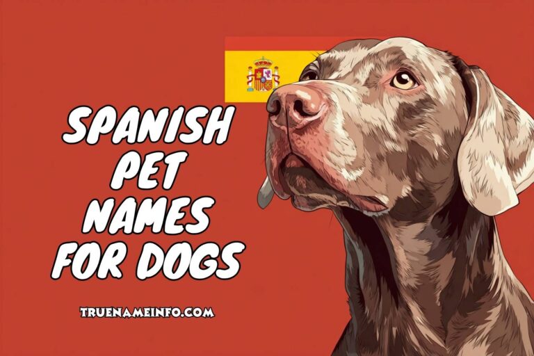 spanish pet names for dogs