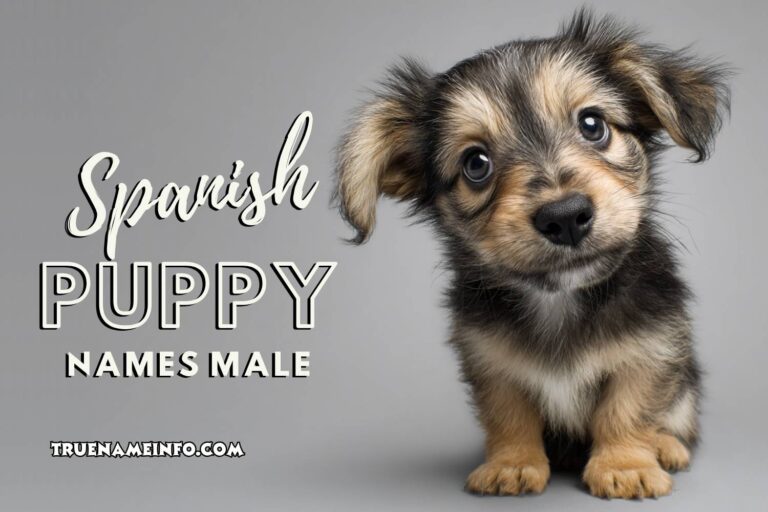 spanish puppy names male
