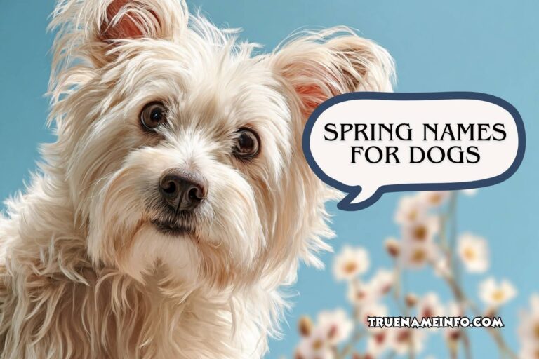 spring names for dogs