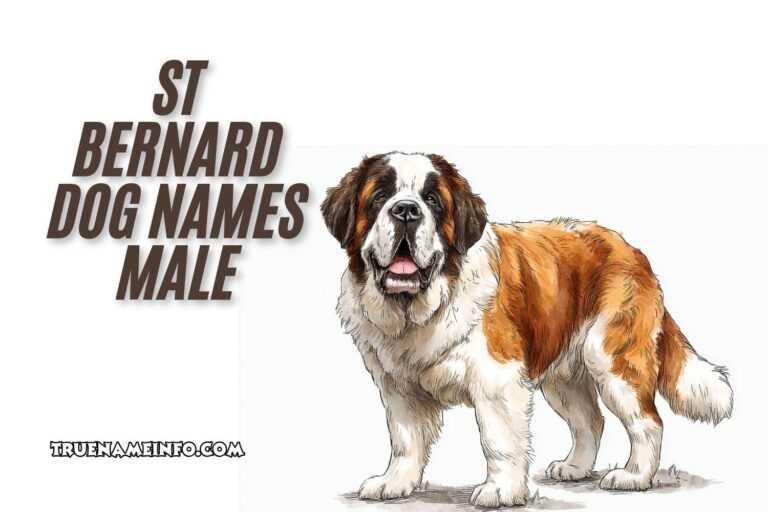 st bernard dog names male