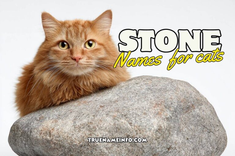 stone names for cats