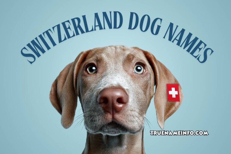 switzerland dog names