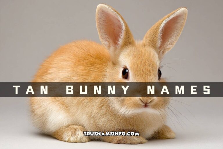 tan bunny names