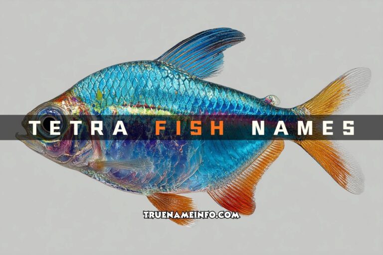 tetra fish names