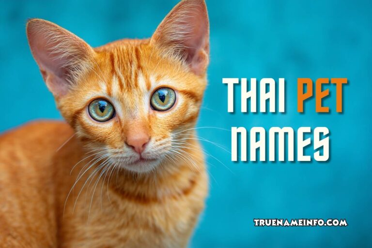 thai pet names