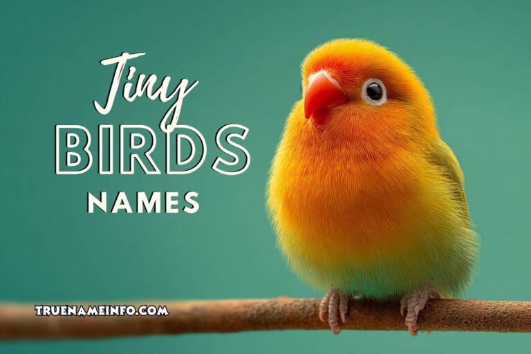 tiny birds names