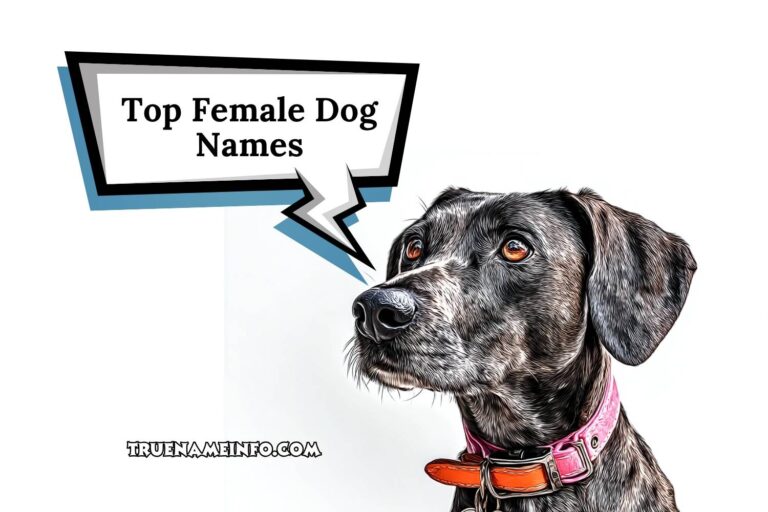 top female dog names