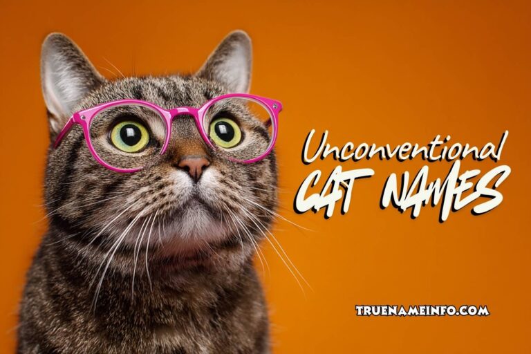 unconventional cat names