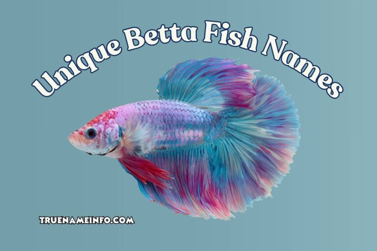 unique betta fish names