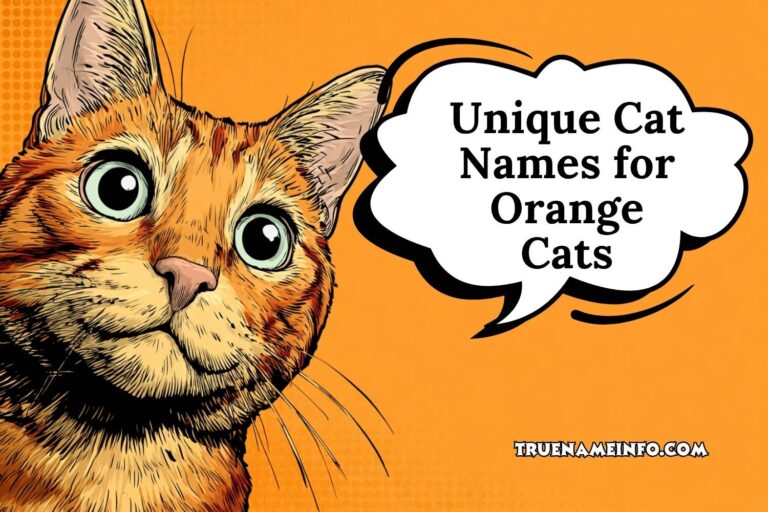 unique cat names for orange cats