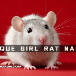 unique girl rat names