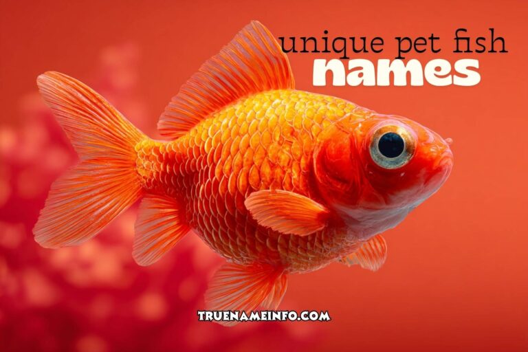 unique pet fish names