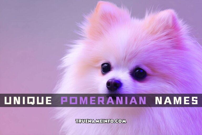 unique pomeranian names