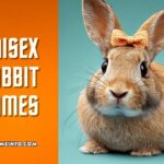 unisex rabbit names