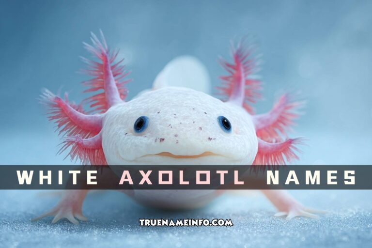 white axolotl names