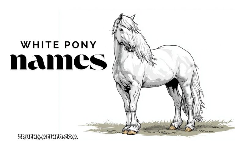 white pony names