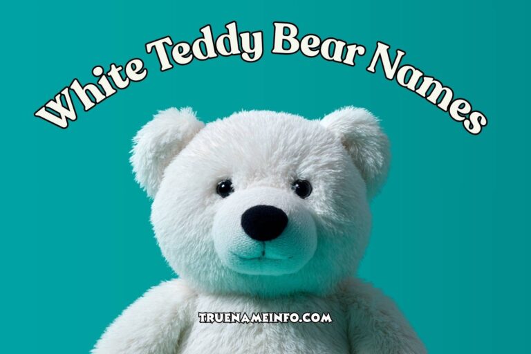white teddy bear names