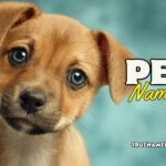 pet names