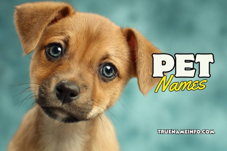 pet names