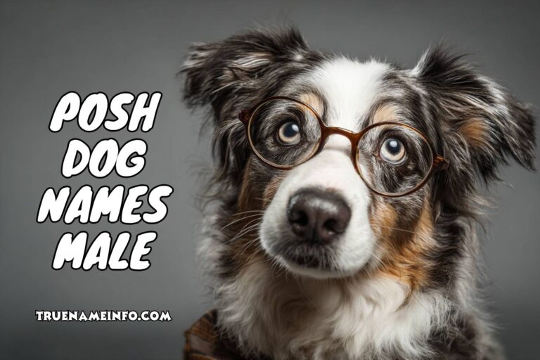 posh dog names male