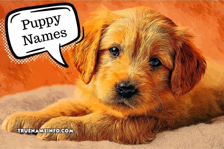 puppy names