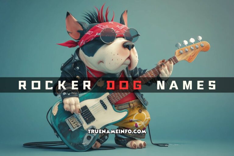 rocker dog names