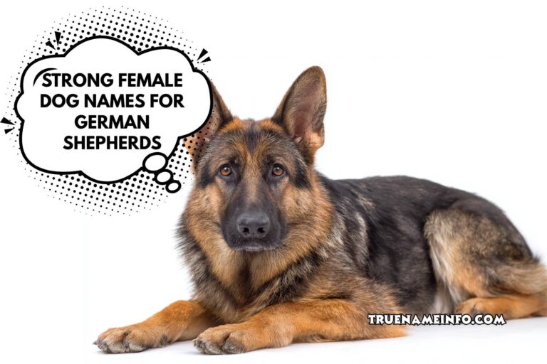 strong female dog names for german shepherds