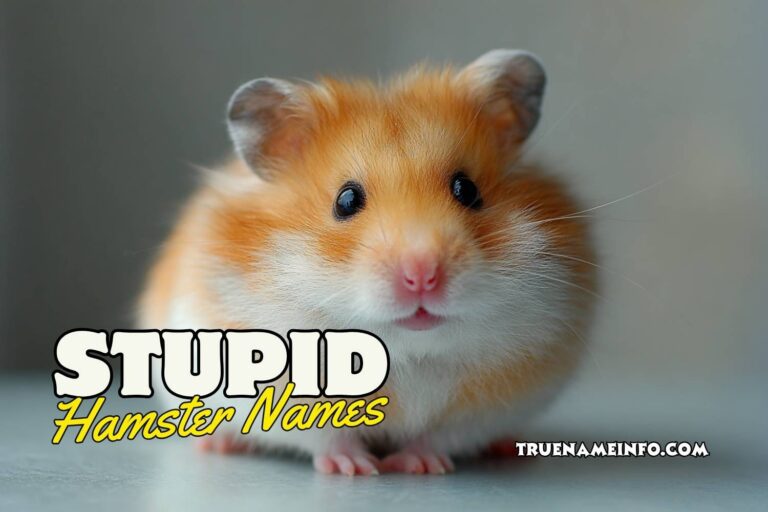 stupid hamster names