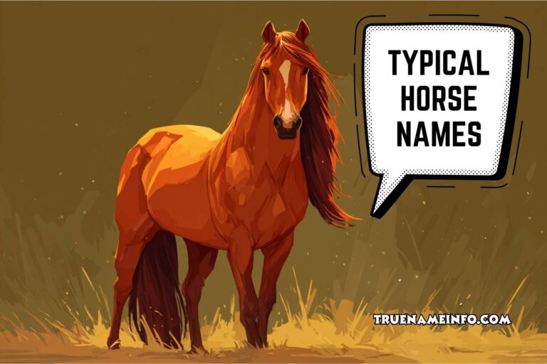typical horse names